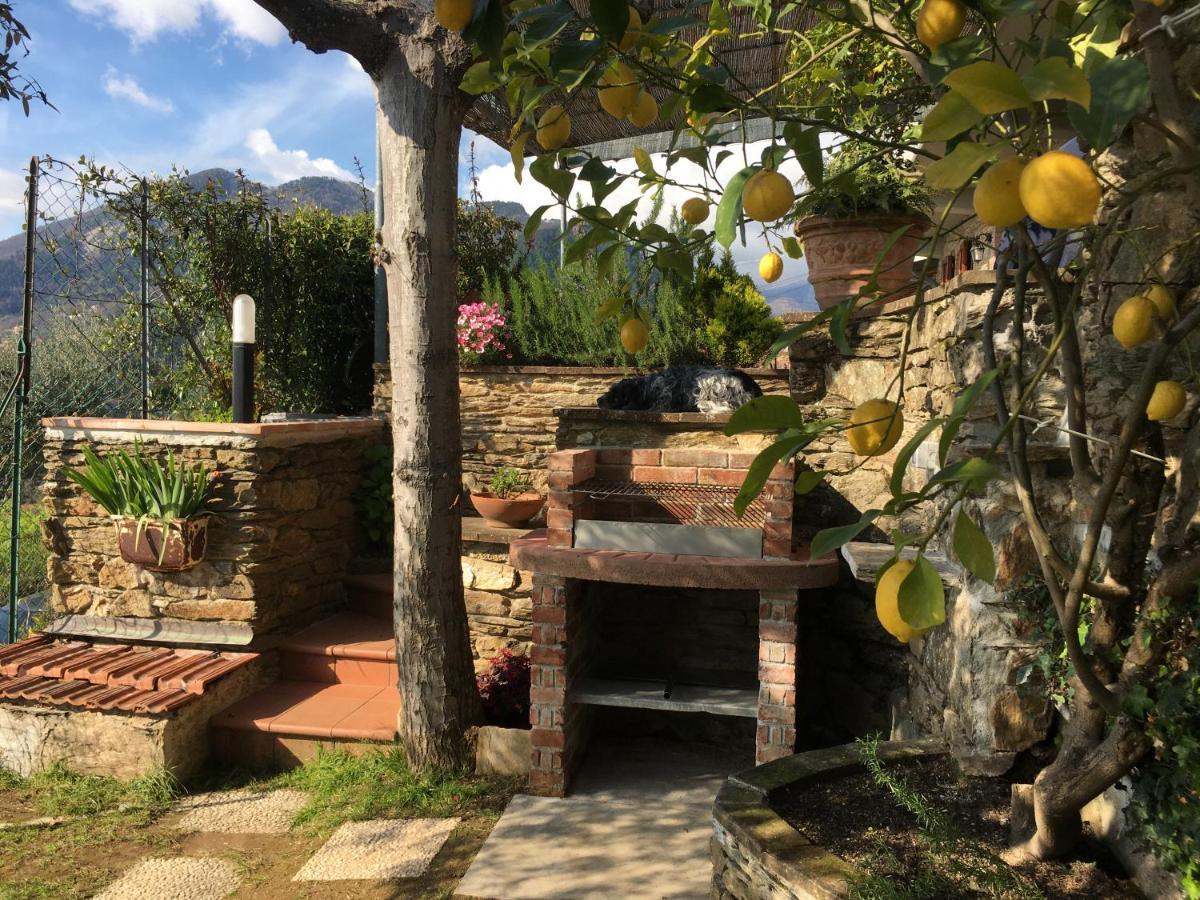 Gelsomini Massa (Tuscany) Exterior foto